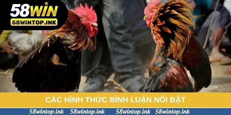 Các hình thức bình luận nổi bật