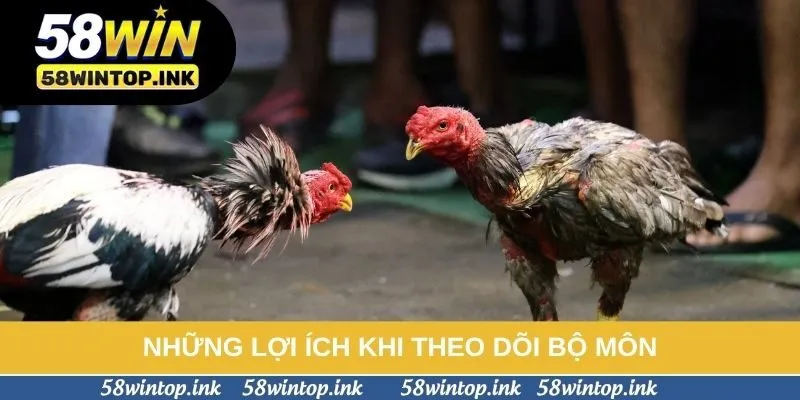 Những lợi ích khi theo dõi bộ môn